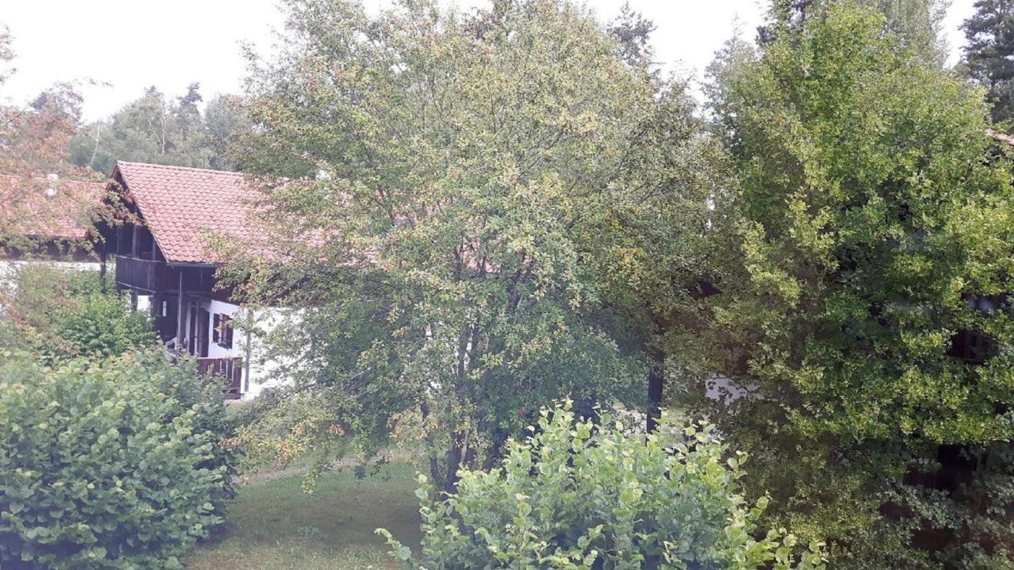 Ferienhaus Virzi - Waldferiendorf Regen Exteriér fotografie